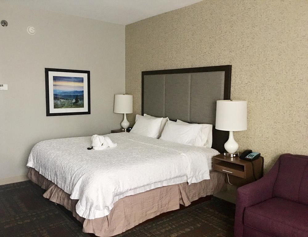 Hampton Inn Sevierville - thumb 1