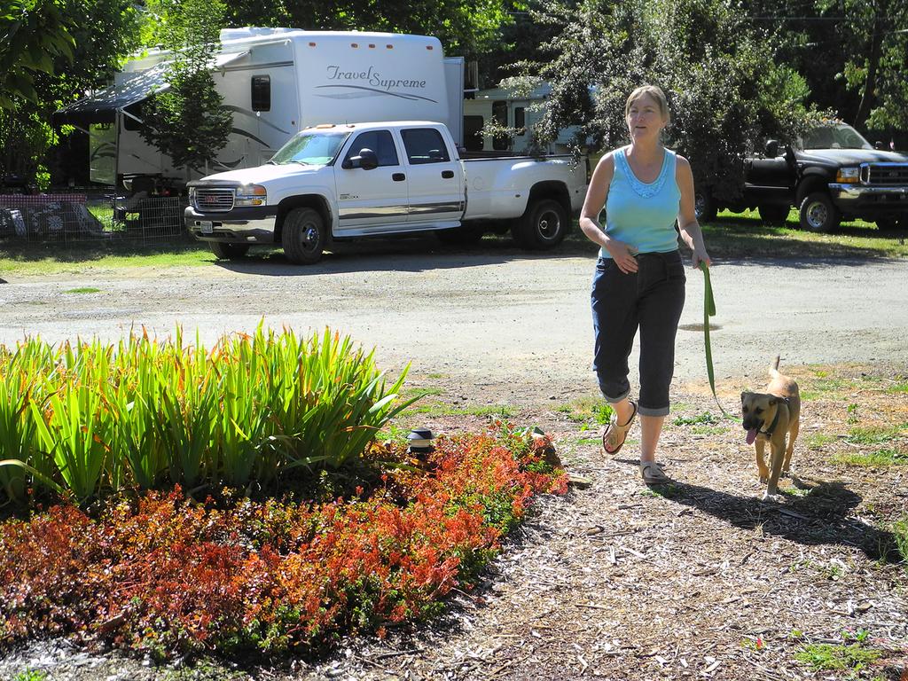 Happy Camp Cabins - thumb 3