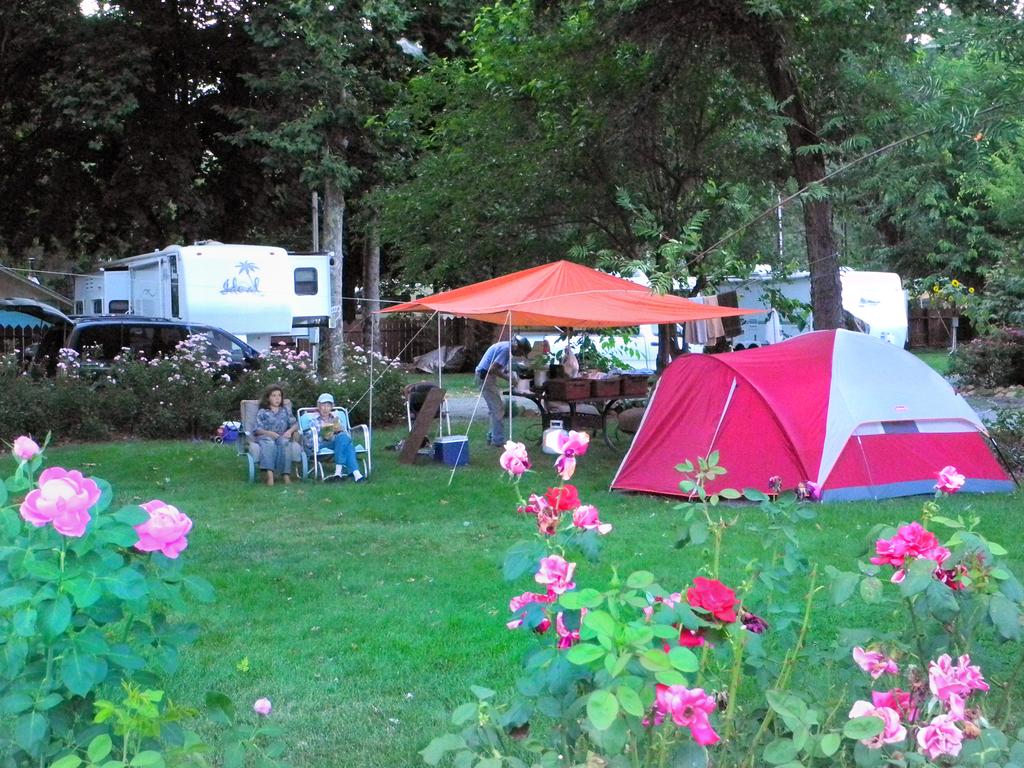 Happy Camp Cabins - thumb 2