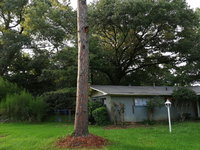 Happy Home - Big Private Joyous Rooms USA Accommodation