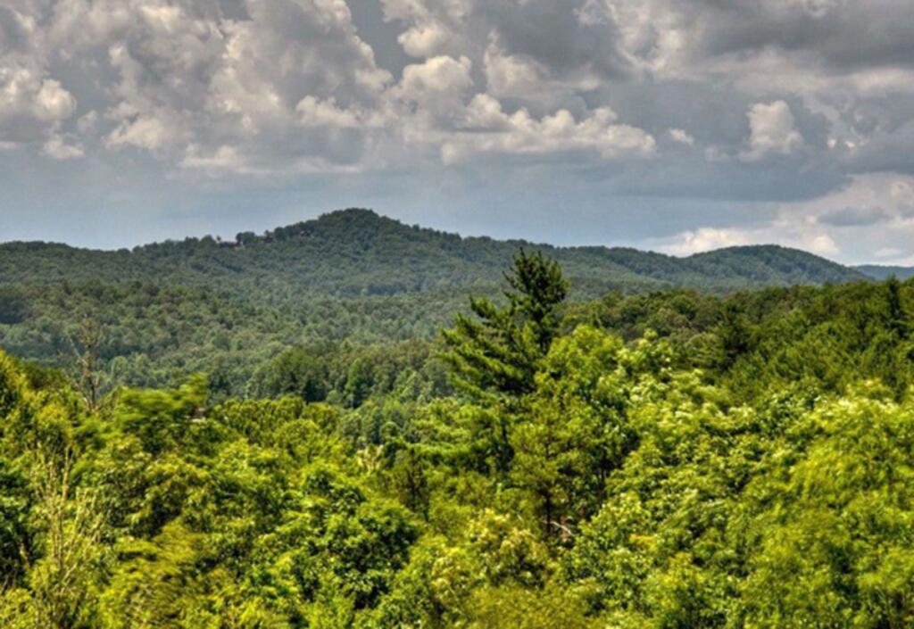 Harvest Moon By Escape To Blue Ridge - thumb 2