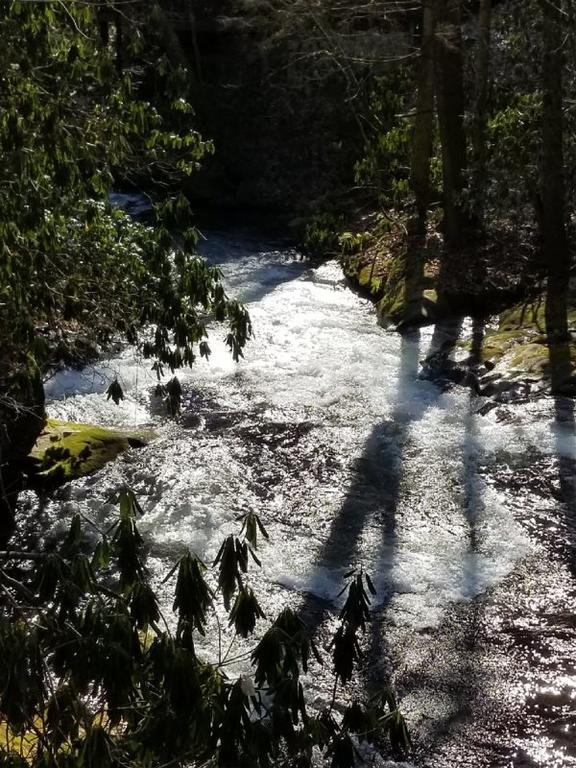 Hemlock Creek - thumb 3
