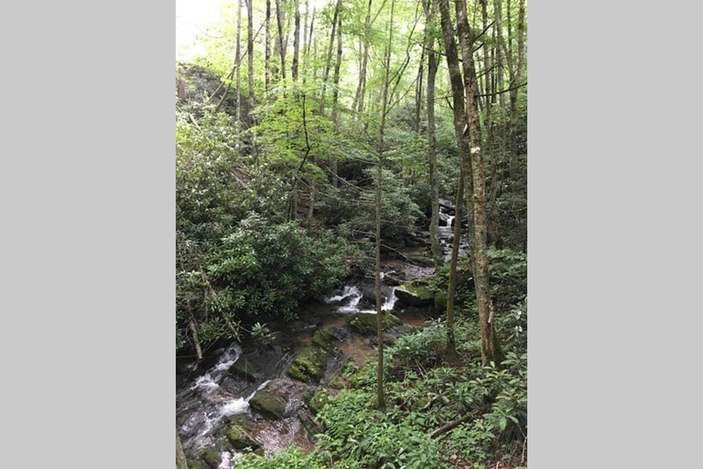 Hemlock Creek Hollow - thumb 1