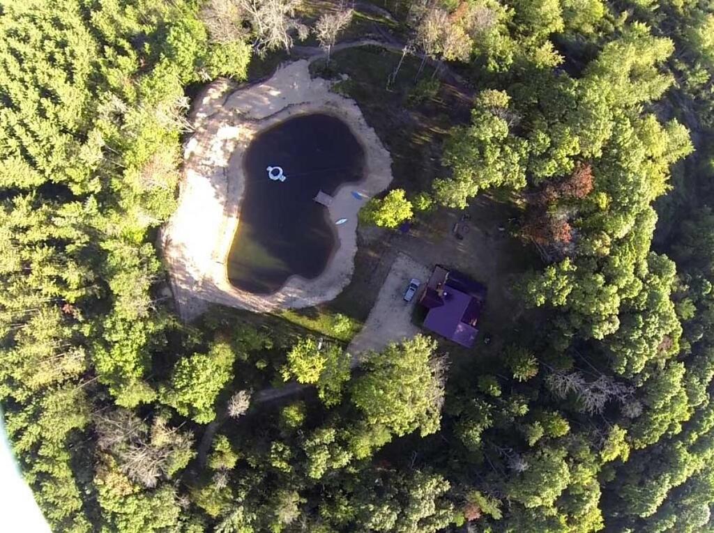 Hidden Forest Retreat - thumb 1