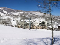 Highlands Slopeside 501 Tourism Bookings