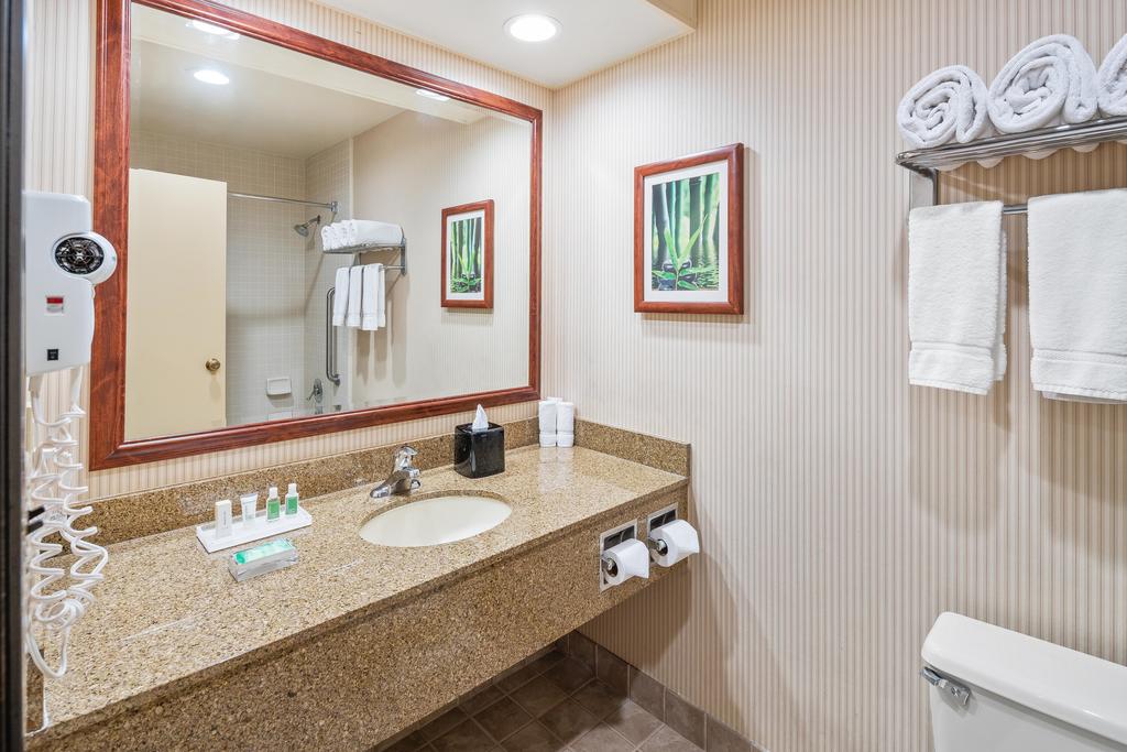 Holiday Inn Santa Ana-Orange County Airport - thumb 1