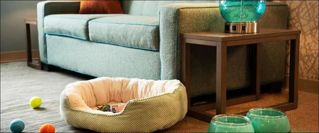 Home2 Suites By Hilton Melbourne Viera - thumb 2