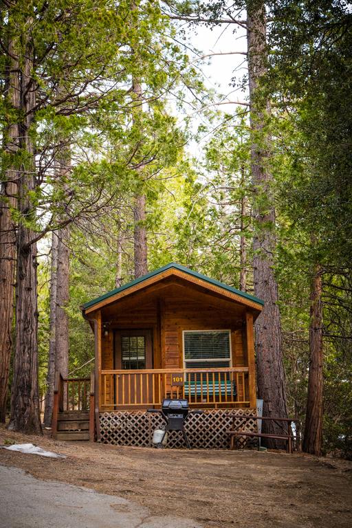 Idyllwild Camping Resort Cabin - thumb 3