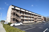 Jamaica II 208 condo Tourism Bookings