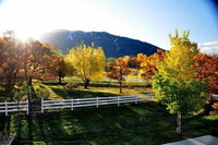 La Casita - A Writers Cottage USA Accommodation