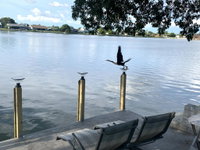 Lake Front Smart Home with King Beds - Free Breakfast and Free airport pick up see details Tourism Bookings
