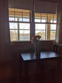Lake Shore Farm Inn Tourism Bookings