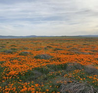 Lancaster Inn - Tourism Bookings