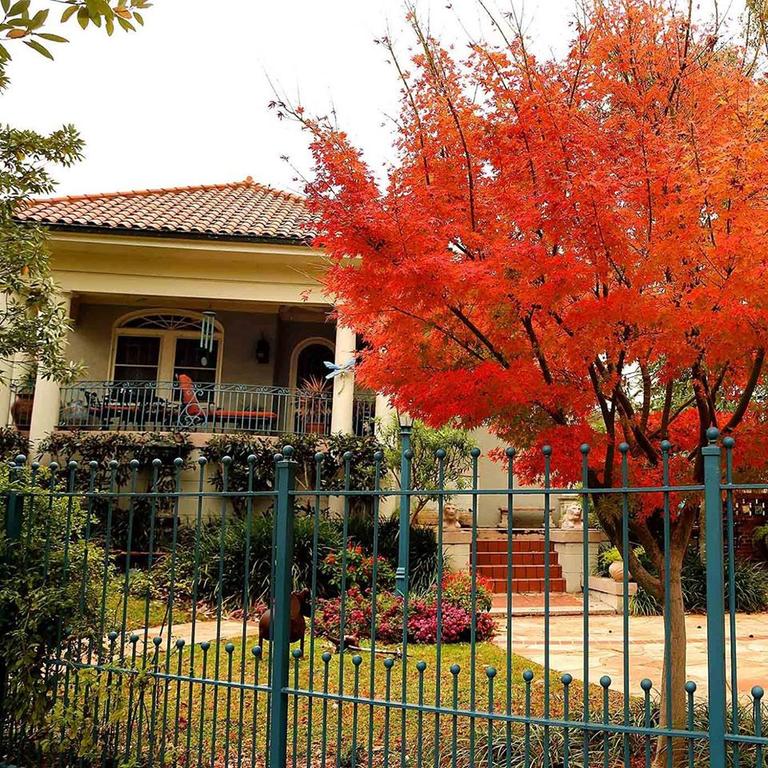 Laurel Bed And Breakfast - thumb 3