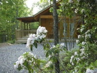 Laurel Wood - 1 Bedrooms 1 Baths Sleeps 4 home Tourism Bookings