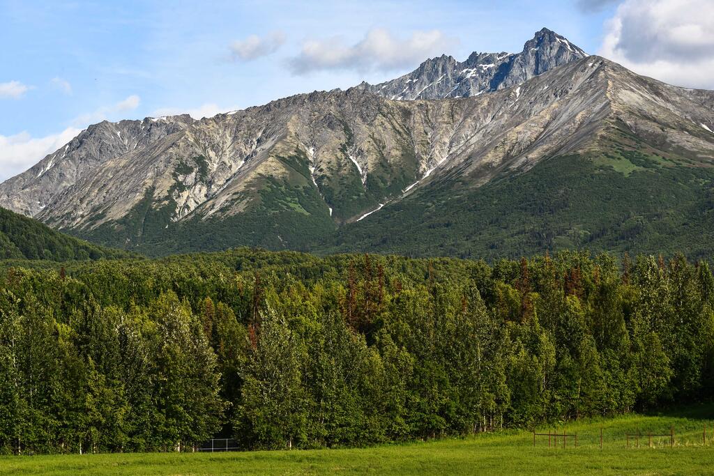 Legacy Mountain Lodge - 40-Acre Ranch With Views! - thumb 2