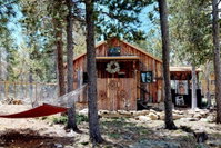 Lil' Frying Pan Cabin Tourism Bookings