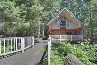 Little Bear Cabin Tourism Bookings
