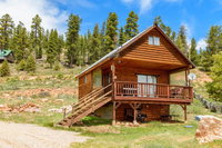 Little Moose Tourism Bookings