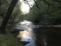 Little River Cabin Tourism Bookings