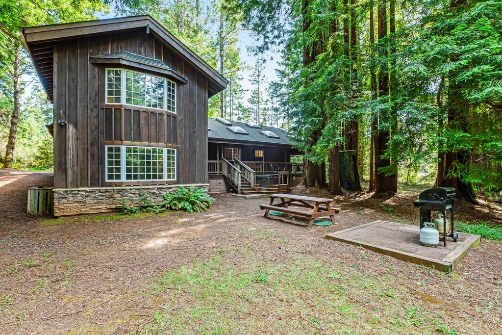 Little River Redwoods - thumb 2