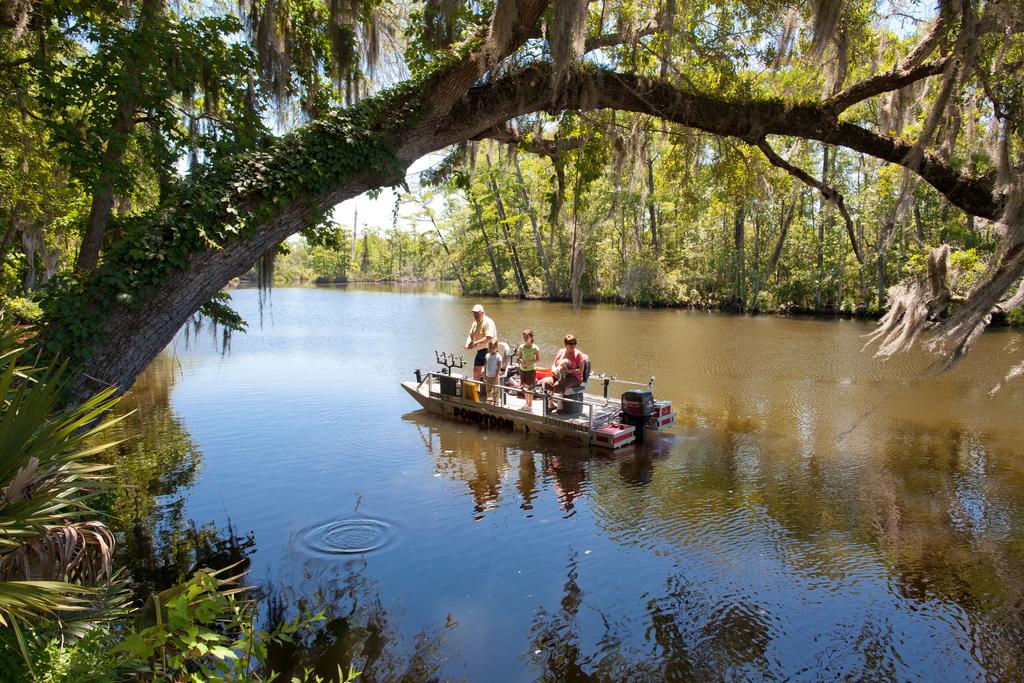 Live Oak Landing - thumb 1