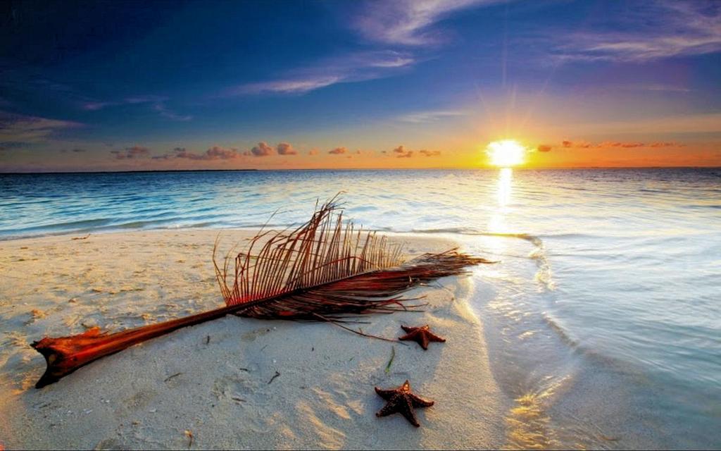 Luxury 5 Star Condominium Water Front 3 Beds 2 Bath Pool Hot-Tub Beach And City Views - thumb 2