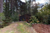 Machias Cabin Tourism Bookings