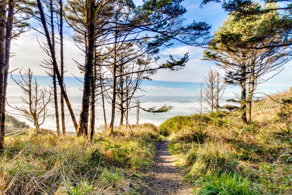 Magical Wooded Retreat In Cove Beach - thumb 1