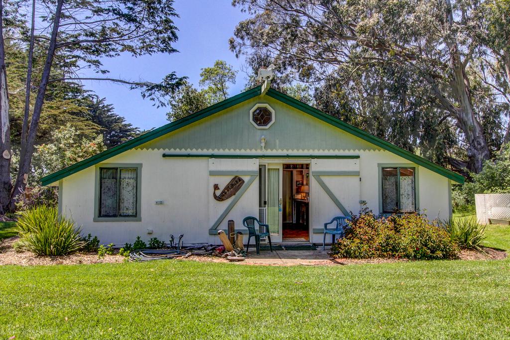 Mendocino Dunes - Dune Flower - thumb 1