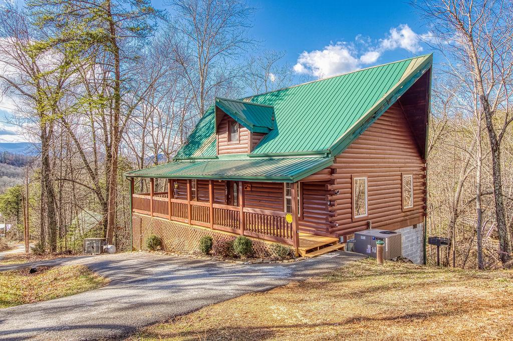 Misty Bear - thumb 1