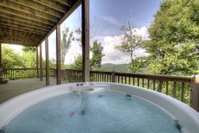 Mountain Aerie Cabin Tourism Bookings