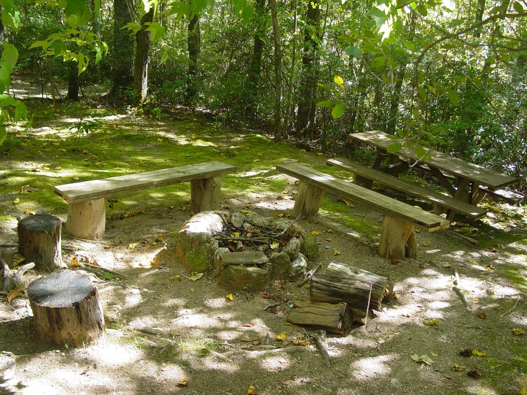 Mountain Laurel - Log Cabin Near Creek - Minutes To Boone, NC - thumb 2