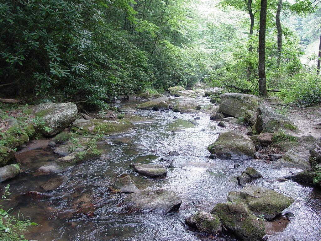 Mountain Laurel - Log Cabin Near Creek - Minutes To Boone, NC - thumb 1