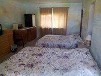 Mountaineer Motel Tourism Bookings