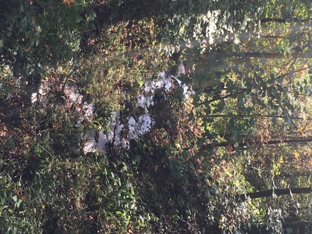 Multi-Million Dollar Designer Mountain Estate - thumb 3