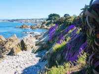 MV6 Lover's Point Mermaid Cottage 02204128 Tourism Bookings