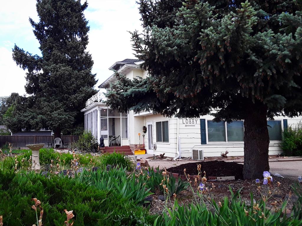 Oasis On Eisenhower - thumb 0