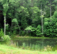 On Golden Pond- Near Ocoee River - Tourism Bookings