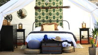 Out of Africa Safari Glamping Tourism Bookings
