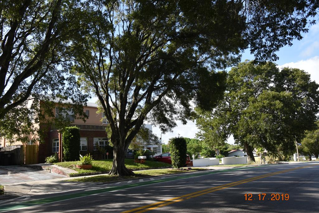 Palm Beach Mermaid - thumb 2