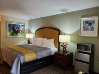 PALMETTO INN AND SUITES Tourism Bookings