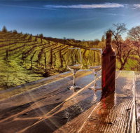 Papillon Cellars - The Loft - Tourism Bookings