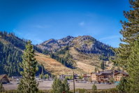 Peak Views Tourism Bookings