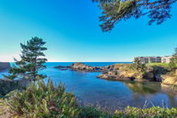 Pirate Cove Cottage 1 Tourism Bookings