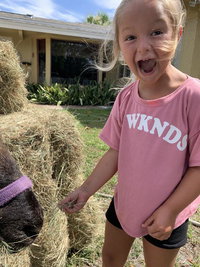 Ponderosa 3 Bedroom Cottage Hotels Santiago