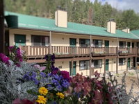 Ponderosa Lodge Tourism Bookings