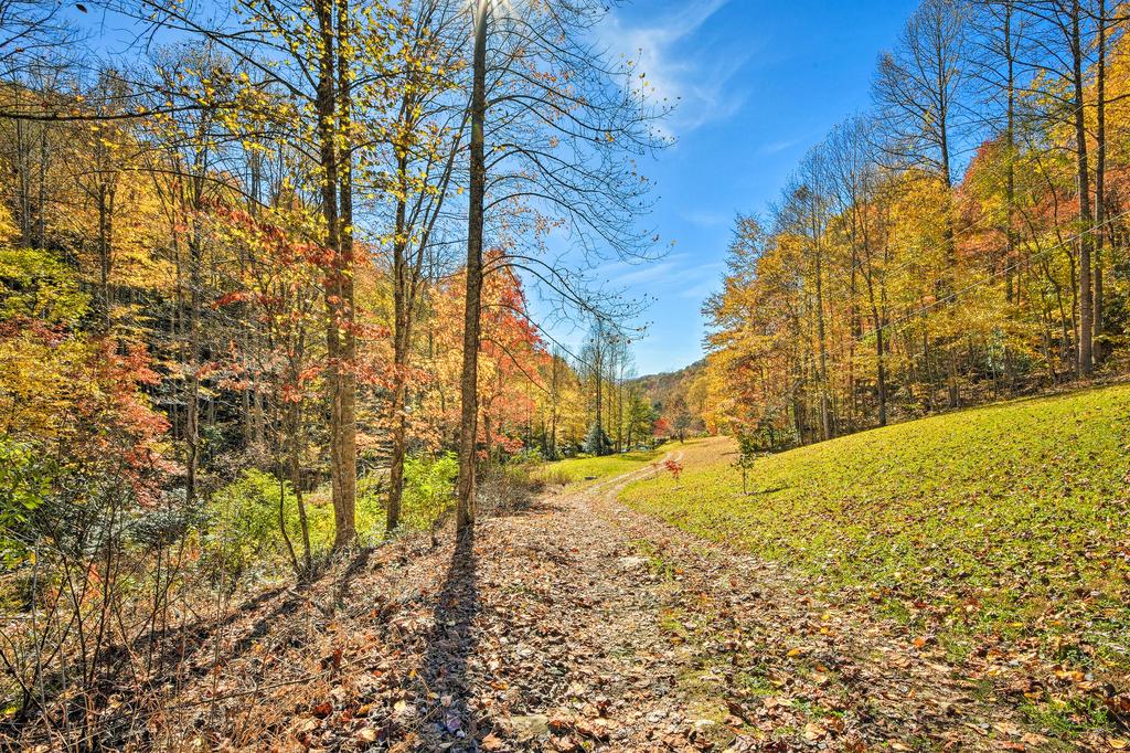 Private And Peaceful Franklin Hideaway - Fish And Hike! - thumb 1