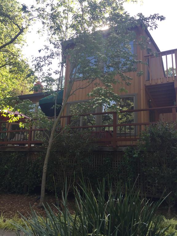 Private And Serene - thumb 2