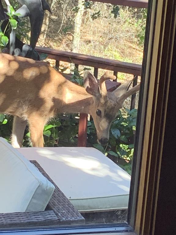 Private And Serene - thumb 1